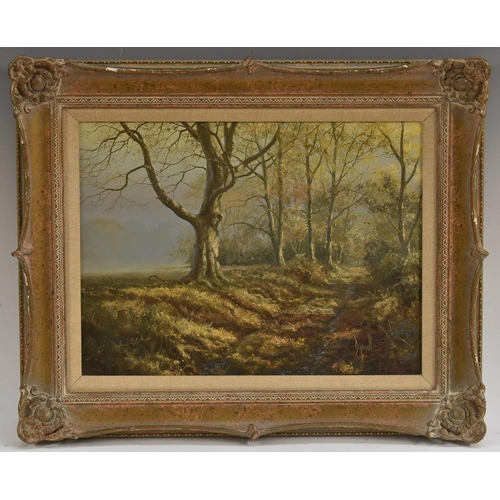 3055 - David Dipnall (bn. 1941) A Woodland Track in Autumn signed, oil on canvas, 30.5cm x 40.5cm