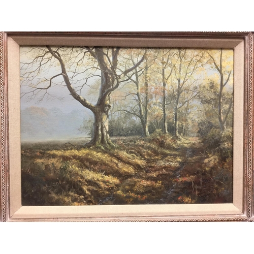 3055 - David Dipnall (bn. 1941) A Woodland Track in Autumn signed, oil on canvas, 30.5cm x 40.5cm