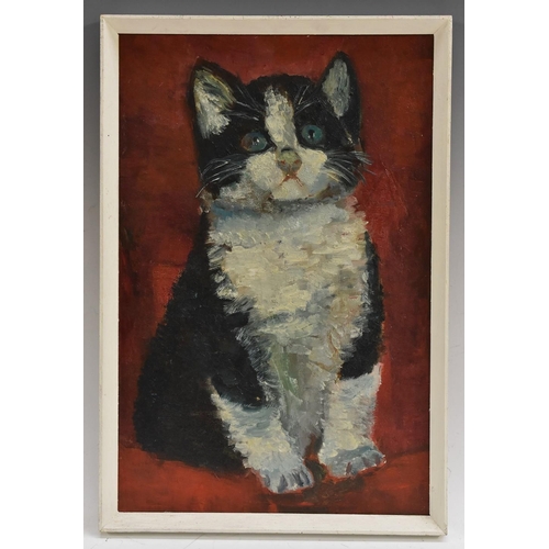 3239 - Wyn Young Little Cat oil on board, 44cm x 29cm