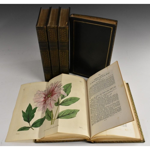 3761 - Binding - Botany - Edwards (Sydenham), The Botanical Register: Consisting of Coloured Figures of Exo... 