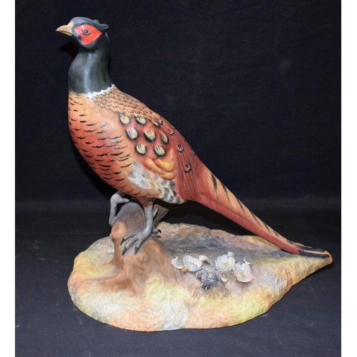 146 - A Royal Crown Derby model of a Pheasant, red printed and black inscribed marks, 27cm high
