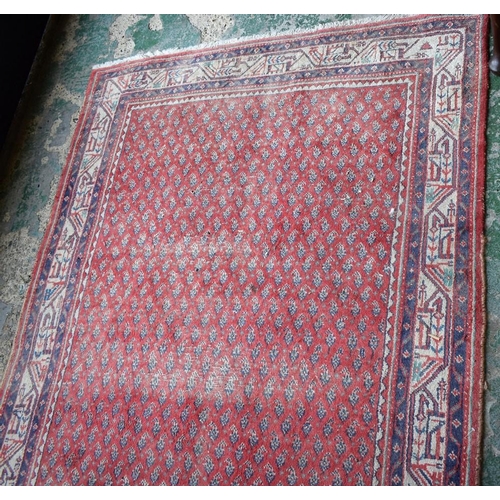 434 - A Middle Eastern hand knotted carpet, 233cm x 127cm