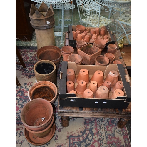 446 - A crown top chimney pot; a quantity of terracotta plant pots, various sizes