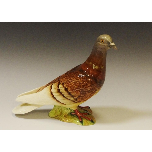 64 - A Beswick pigeon model 1383