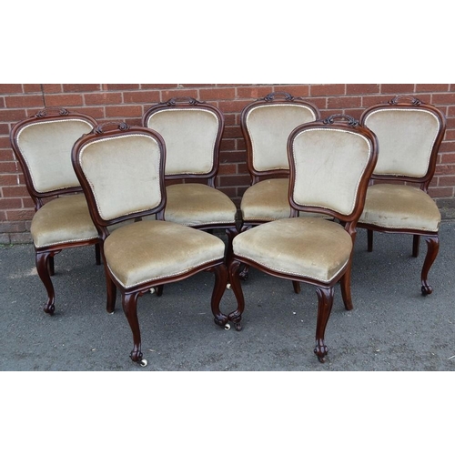 1587 - A set of six Victorian mahogany dining chairs, by T Robson, Newcastle, stamped, cartouche shaped bac... 