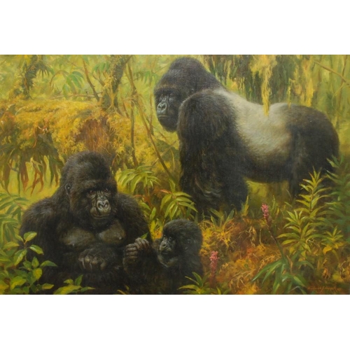 1105 - Frederick J. Haycock (b. 1948) Gorillas in a Jungle Clearing  signed, dated '93, oil, 60cm x 85cm