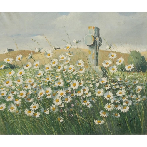 1119 - Marcel George Hue (French, b, 1907) Daisies Remembered signed, oil on canvas, 53cm x 66cm