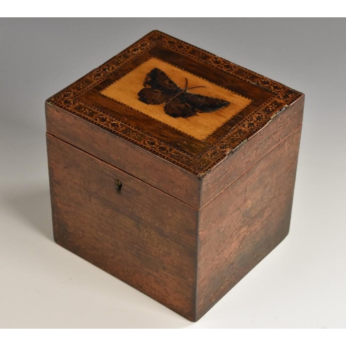 1393 - A Tunbridge ware and rosewood rectangular tea caddy, hinged cover inlaid with a butterfly within a g... 