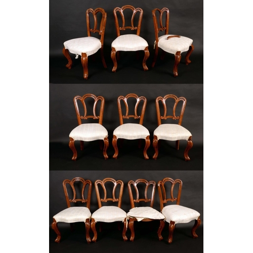 1412 - A set of ten continental walnut dining chairs, cartouche shaped back pierced and carved with scrolls... 