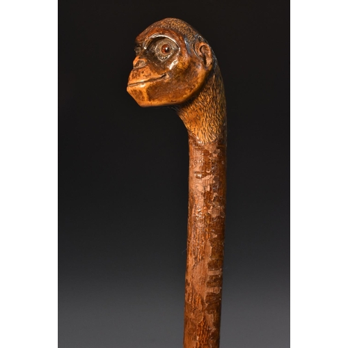 1687 - A 19th century gentleman's novelty walking cane, the pommel carved as the head of a monkey, glass ey... 