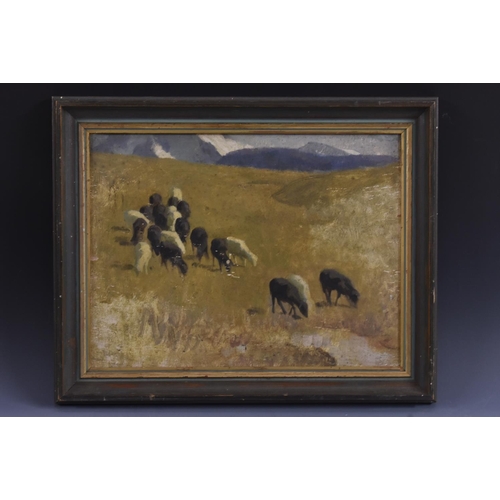 5022 - Australian School Sheep Grazing, Near Warragul, Victoria oil on plywood panel, 29cm x 37.5cm