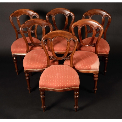 1634 - A set of six Victorian mahogany Admiralty back dining chairs, stuffed-over upholstery, serpentine fr... 