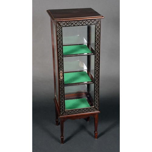 1707 - A Chippendale Revival mahogany display cabinet, rectangular top above a single door, carved with bli... 