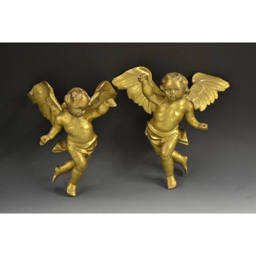 5159 - A pair of Italian giltwood and gesso cherubs, scantily clad and carved triumphant, to left and right... 