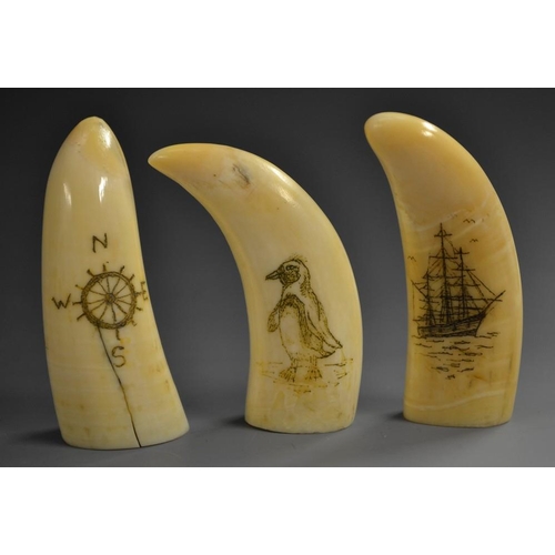 5171 - A sailor's scrimshaw whale tooth, carved and decorated with a sailor brandishing a harpoon, the vers... 