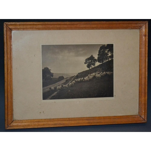 5867 - Francis Meadow (Frank) Sutcliffe of Whitby (1853 - 1941) - sepia photograph, of a shepherd and his f... 