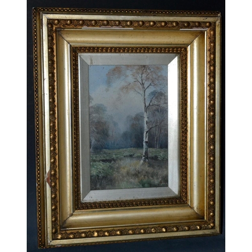 3132 - English School (early 20th century) Silver Birch indistinctly signed, oil on board, 22cm x 14.cm