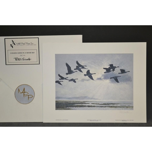 3294 - Peter Scott, by and after, Canada Geese In A Silver Sky, coloured print, signed in pencil limited ed... 