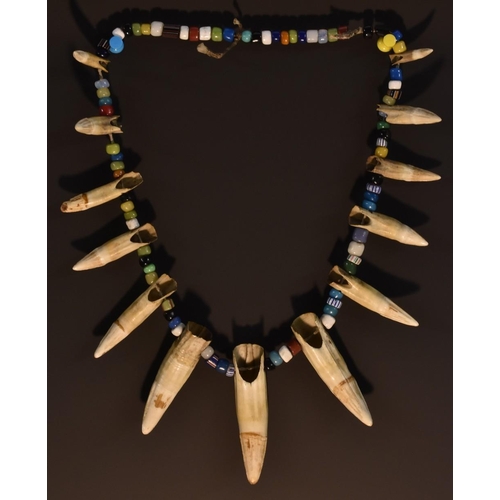 3859 - Tribal Art - a sabre teeth and bead necklace, strung throughout with harlequin glass and earthenware... 