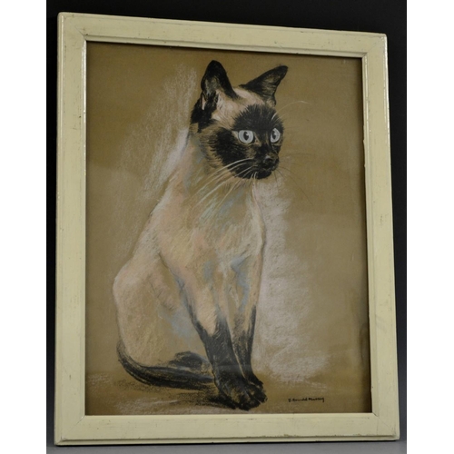 3094 - James Arundel-Massey (20th Century) Seal Point Siamese signed, pastel, 39.5 x 48 cm