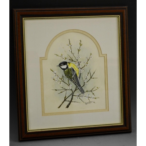 3103 - John Straw (contemporary)  Great Tit on BlackThorn, watercolour, signed, 23.5cm x 18cm, framed