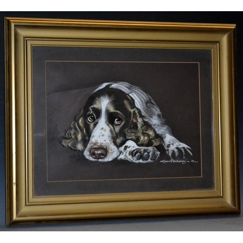 3128 - Pollyana Pickering (Contemporary) Charlie the Springer signed, dated 83, mixed medium, 26cm x 37cm