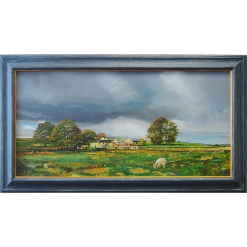 3343 - Trevor Neal (Bn.1947) Old Farm, Near Monyash, Derbyshire signed with monogram and dated 2009, oil on... 