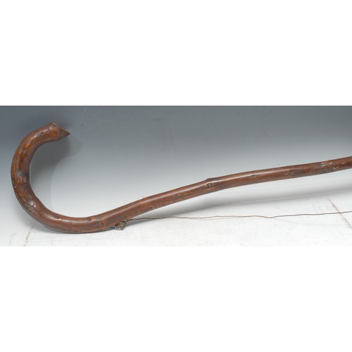 5315 - An unusual 19th century oversized walking cane, mounted to hang, possibly a shop sign, 146cm long