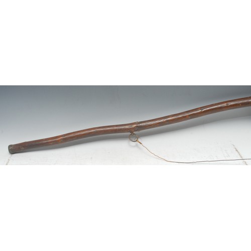 5315 - An unusual 19th century oversized walking cane, mounted to hang, possibly a shop sign, 146cm long