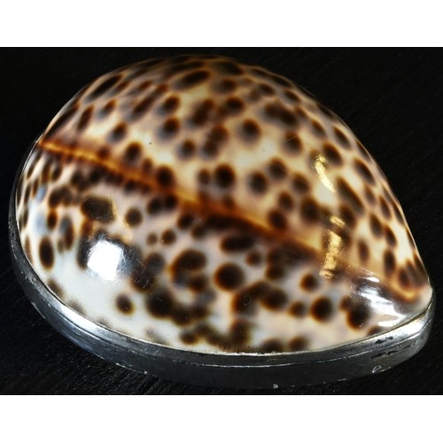 5122 - A George III silver mounted cowrie shell snuff box, probably Scottish, hinged cover inscribed 'J H P... 