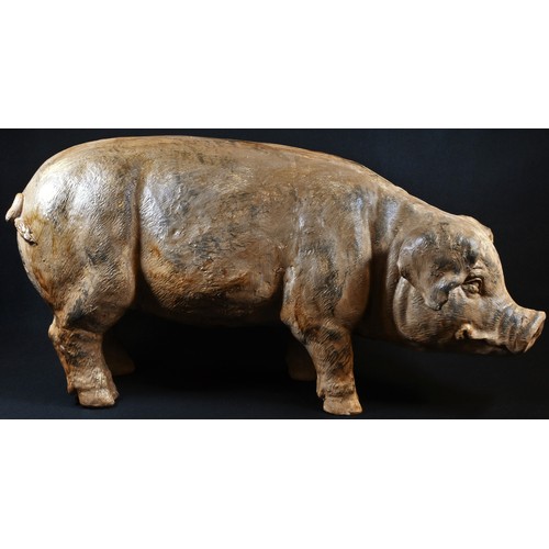 5077 - A butcher's shop window display model, of a pig, 74cm long