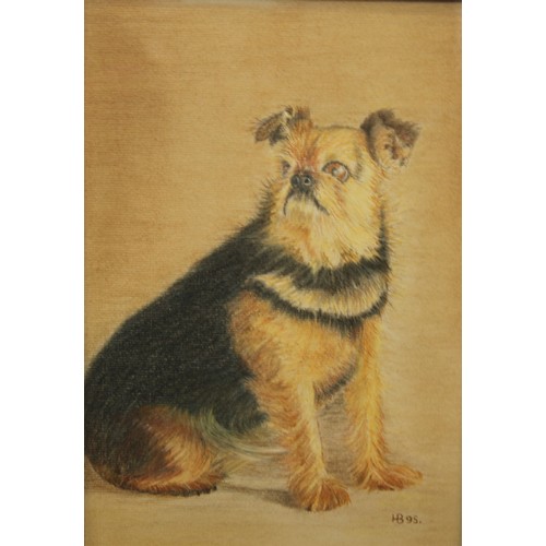 299 - Pictures & Prints - Dog Interest - various pencil, pastel, etc, Ed Mackay (6)