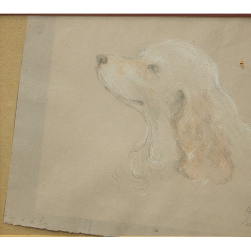 299 - Pictures & Prints - Dog Interest - various pencil, pastel, etc, Ed Mackay (6)