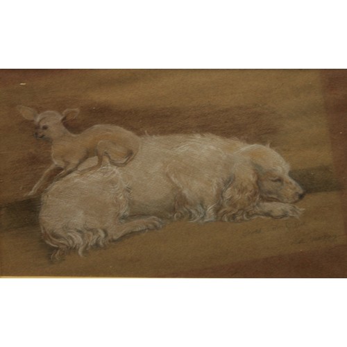 299 - Pictures & Prints - Dog Interest - various pencil, pastel, etc, Ed Mackay (6)