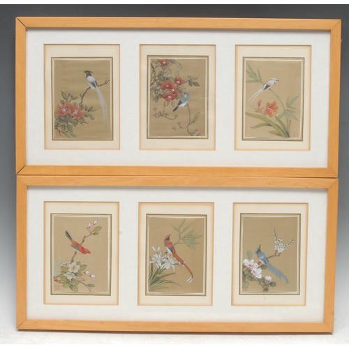 5334 - Chinese School
A set of six, Ornithological Studies, Of Exotic Birds
red seal marks, watercolour and... 