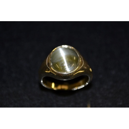 3481 - A cats eye signet ring, single oval cabochon cats eye, unmarked yellow metal shank, size Q, 5.3g gro... 