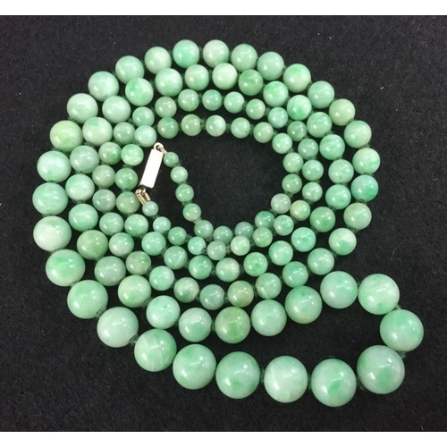 3485 - A graduated green jadite spherical bead necklace, each individually knotted, measuring between 3.4mm... 