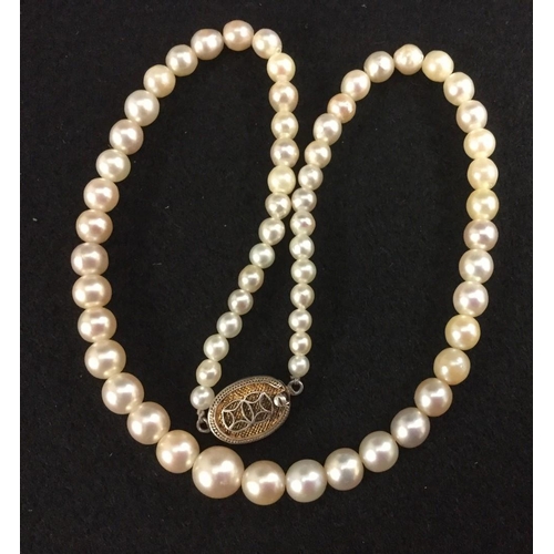 3486 - A single strand graduated cultured pearl necklace, oval silver clasp, stamped silver, 38cm long, 26,... 