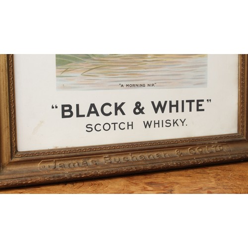 5420 - Advertising, Breweriana - an early 20th century James Buchanan & Co Ltd (Buchanan's) Black & White s... 