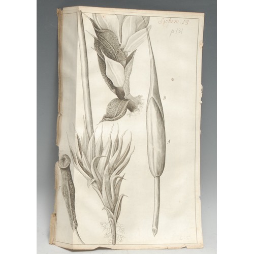 4195 - Science - Hooke ([Robert], Fellow of the Royal Society), Micrographia: or some Physiological Descrip... 