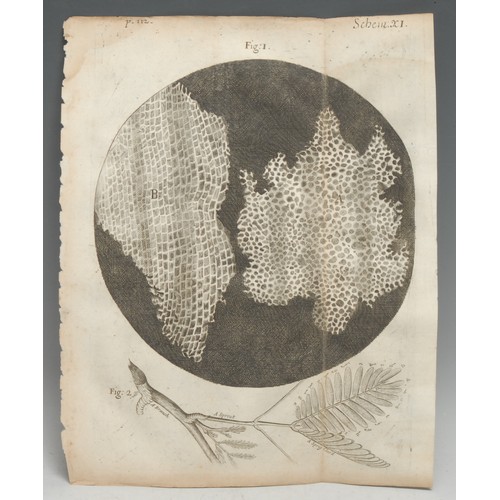 4195 - Science - Hooke ([Robert], Fellow of the Royal Society), Micrographia: or some Physiological Descrip... 