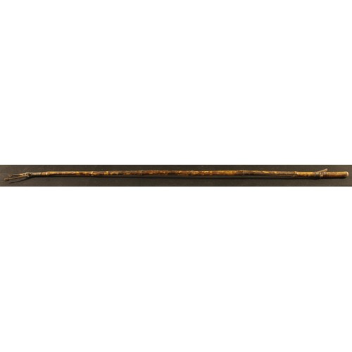 3019 - A 19th century brass mounted bamboo library book grab, 158cm long