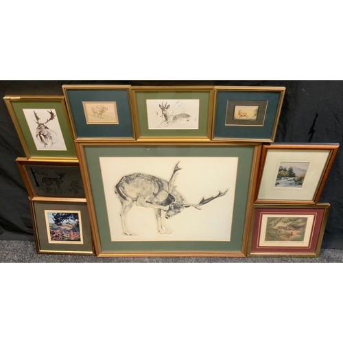 Lot 109       
