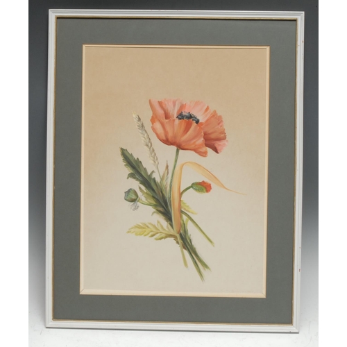 5054 - D M Grimwood
Still Life, Poppy
signed, watercolour, 38.5cm x 28cm