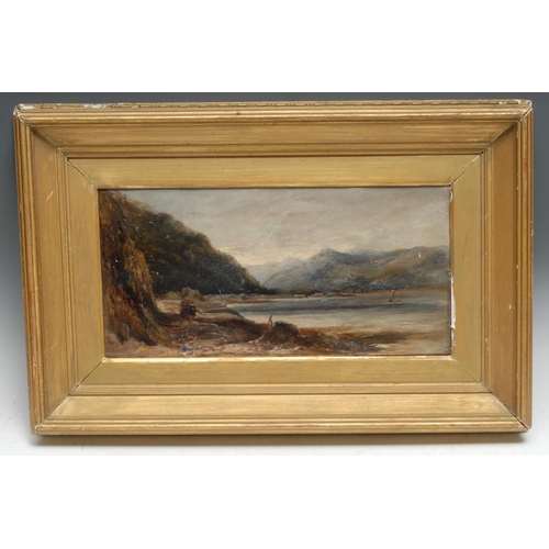 5216 - English School (19th century)
Scottish Cove
signed with monogram, oil on canvas, 19cm x 39.5cm