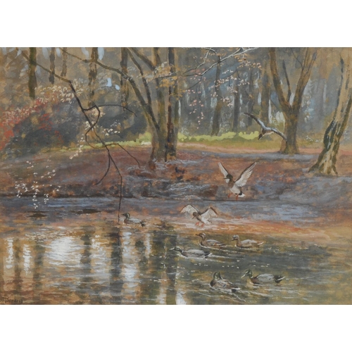 5150 - English School (20th century)
Ducks on the Pond
indistinctly signed, mixed medium, 28.5cm x 39cm