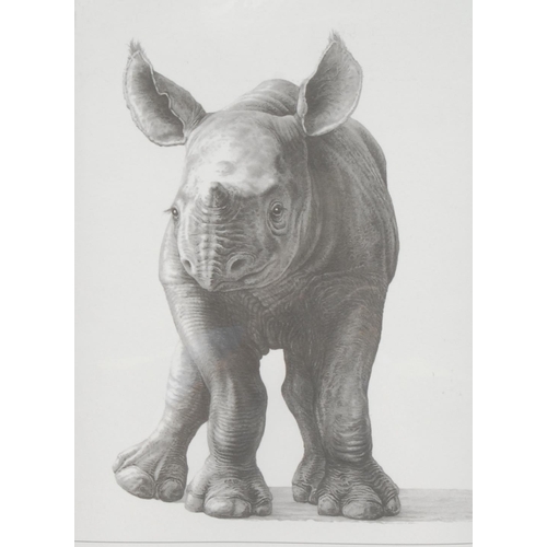 5035 - Gary Hodges Wildlife Artist (1954- ), by and after, Joy, monochrome print, signed in pencil, 33cm x ... 