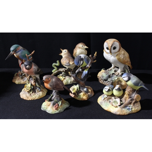 71 - Royal Crown Derby Bird Models - Barn Owl, Thrush Chicks, Blue Tit and Chicks, Robin, Bull Finch, Kin... 