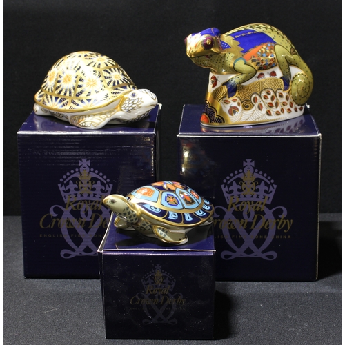89 - A Royal Crown Derby paperweight, Chameleon, gold stopper, signed, boxed; others, Indian Star Tortois... 