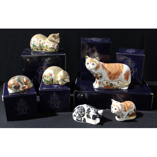 100 - A Royal Crown Derby paperweight, Sugar, Collector's Guild Cat, gold stopper, boxed; another, Spice, ... 